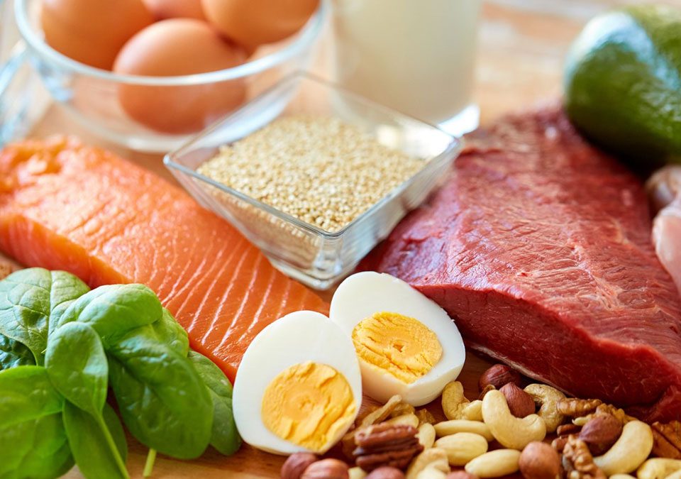 capa proteina dieta
