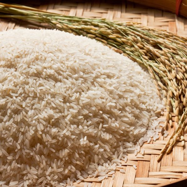 arroz 1